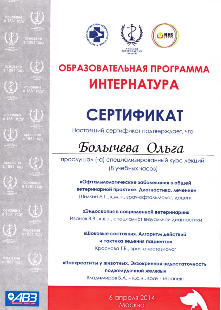 Сертификат Болычевой Ольги Сергеевны