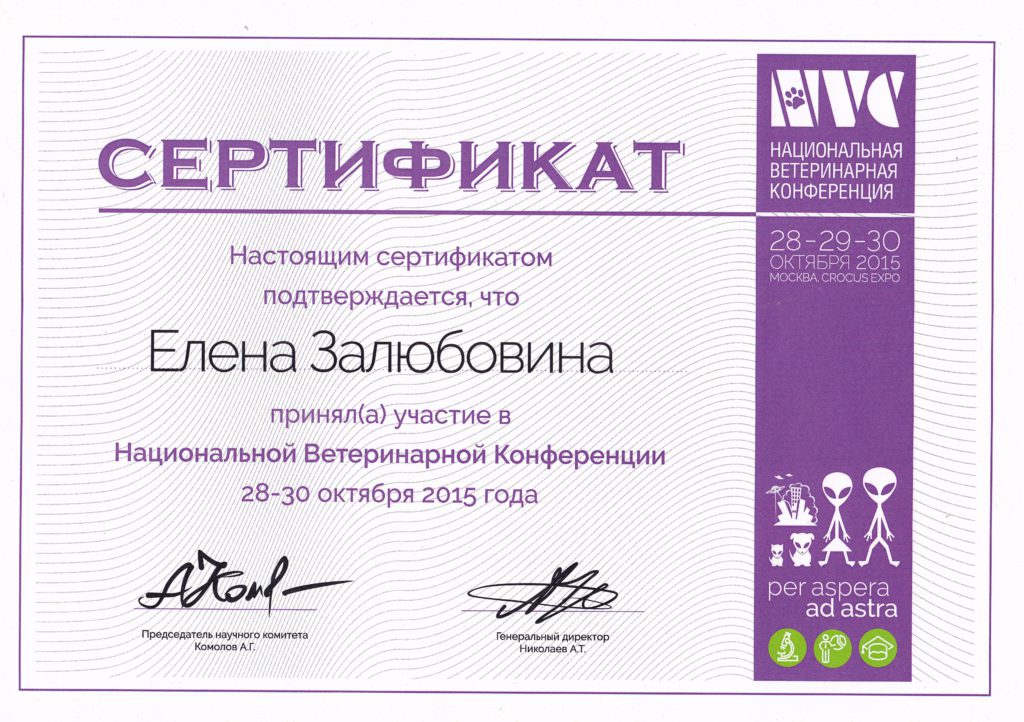 Сертификат Залюбовиной Елены Александровны