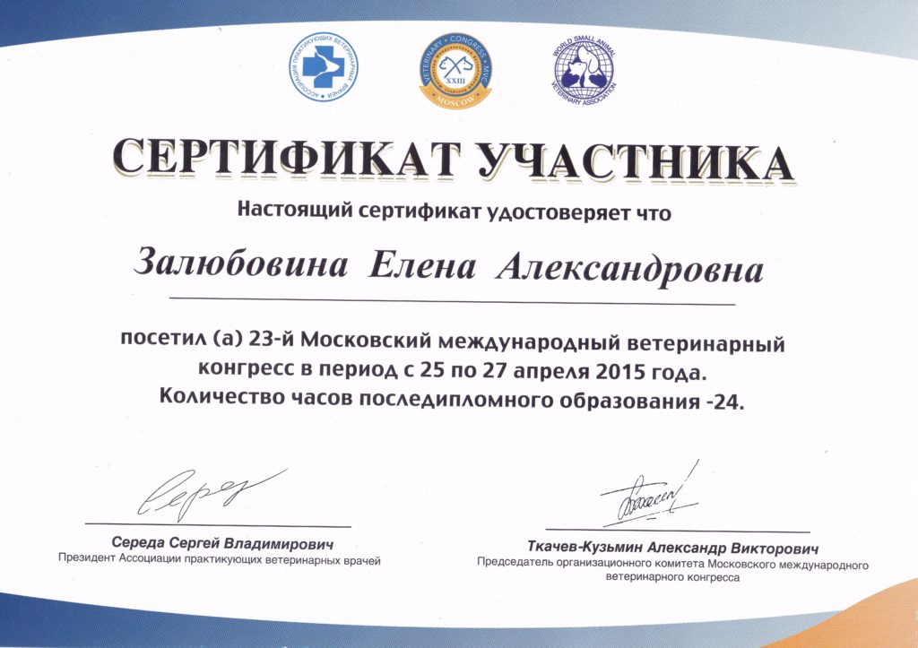 Сертификат Залюбовиной Елены Александровны