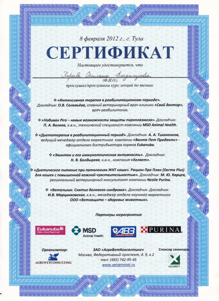 Сертификат Киреевой Светланы Владимировны