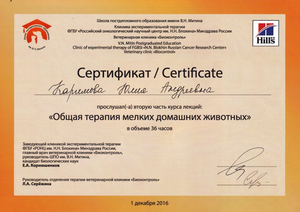 Сертификат Каримовой Юлии Андреевны