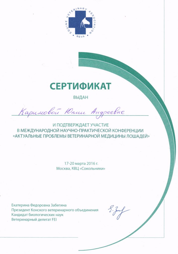 Сертификат Каримовой Юлии Андреевны
