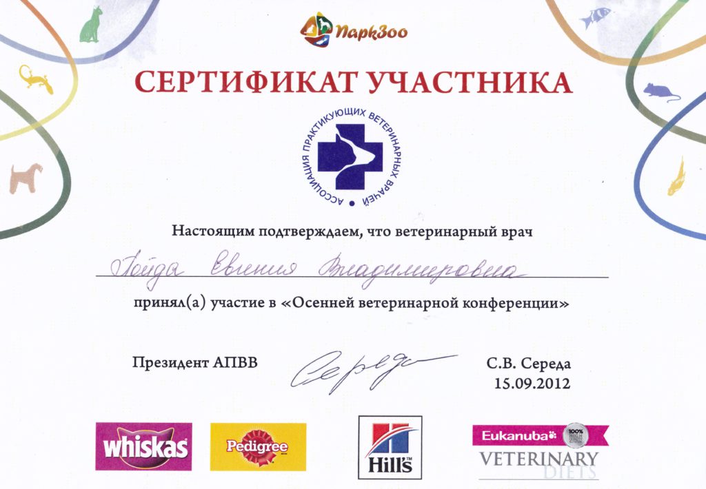 Сертификат Пойда Евгении Владимировны