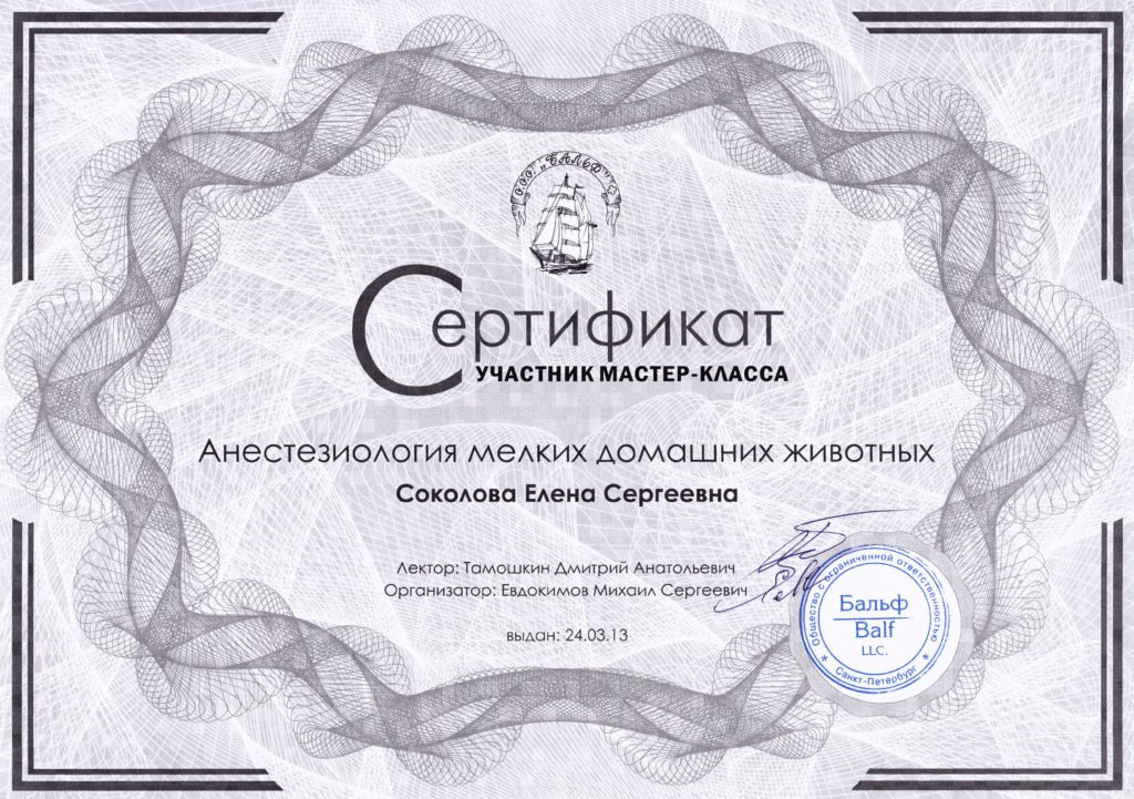 Сертификат Горбуновой Елены Сергеевны