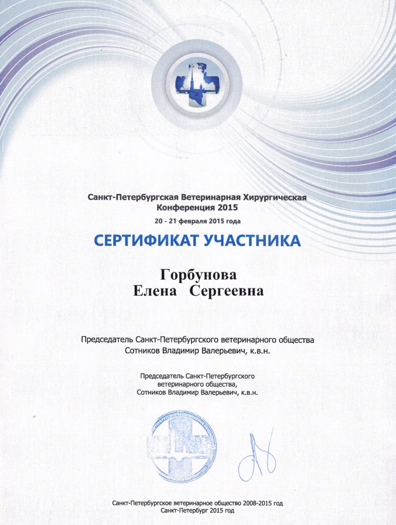 Сертификат Горбуновой Елены Сергеевны