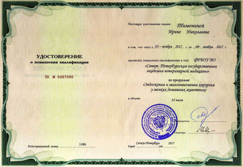 Сертификат Тимониной Ирины Николаевны