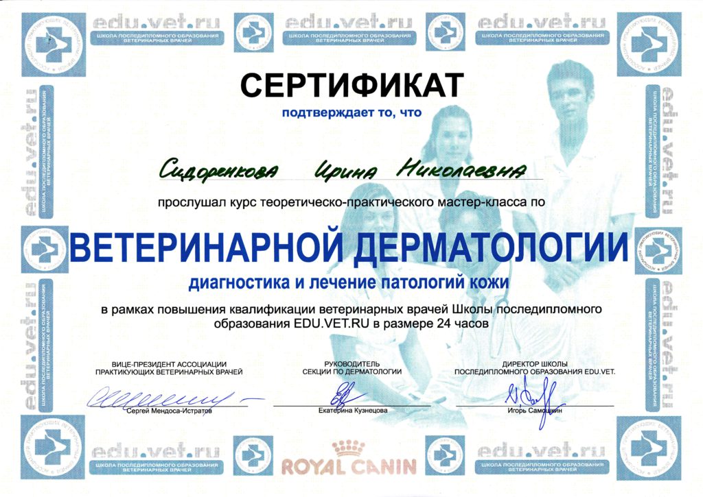 Сертификат Тимониной Ирины Николаевны