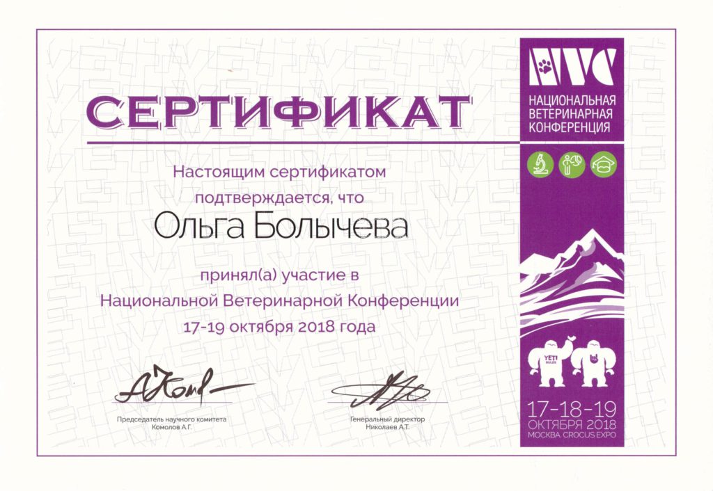 Сертификат Болычевой Ольги Сергеевны