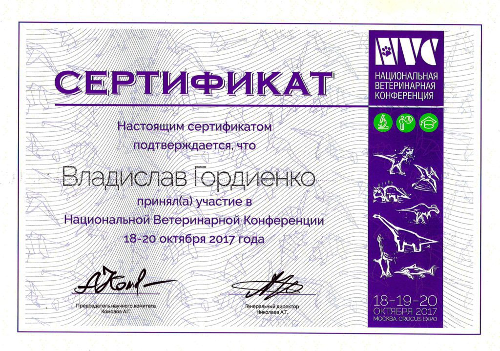 Сертификат Гордиенко Владислава Сергеевича