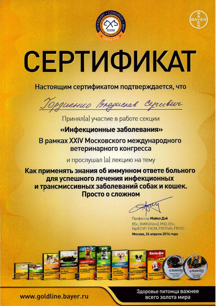 Сертификат Гордиенко Владислава Сергеевича