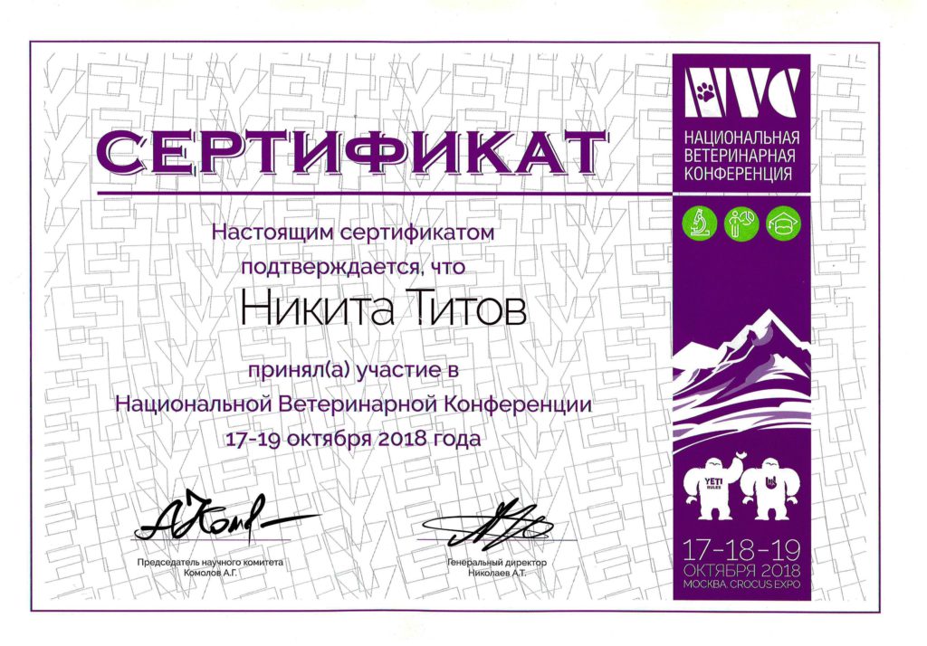Сертификат Титова Никиты Александровича
