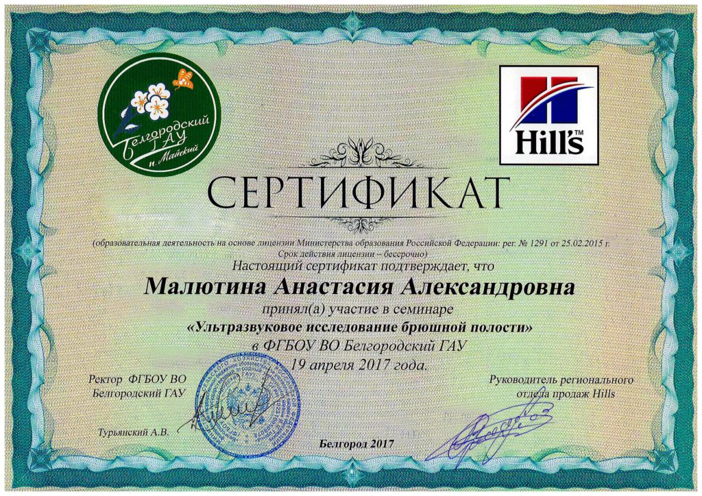 Сертификат Золотухиной Анастасии Александровны