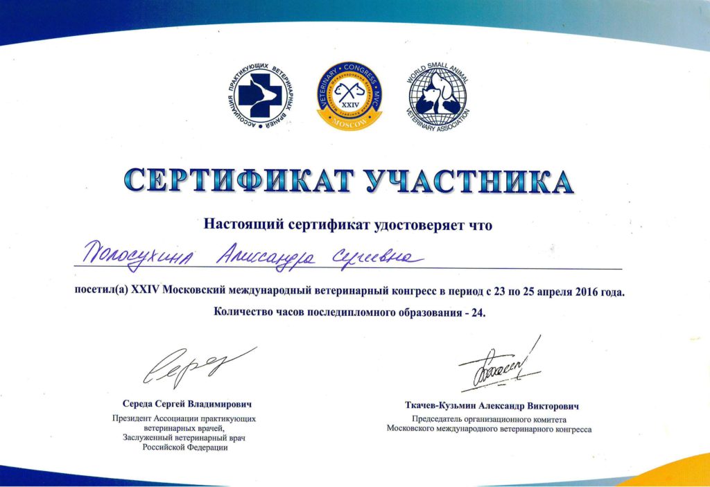 Сертификат Полосухиной Александры Сергеевны