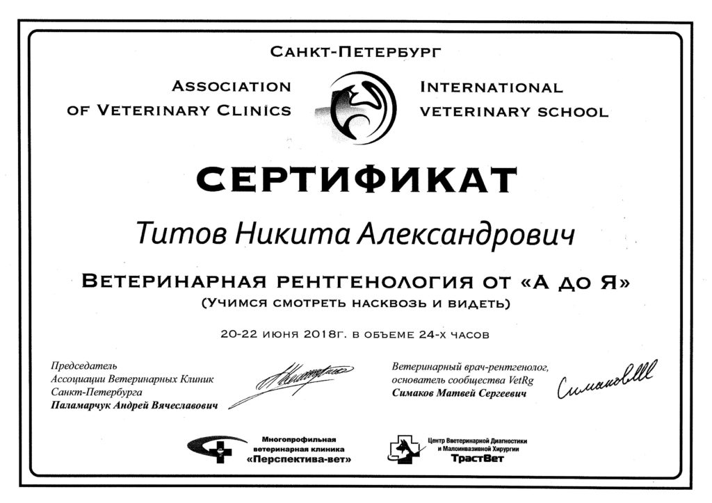 Сертификат Титова Никиты Александровича