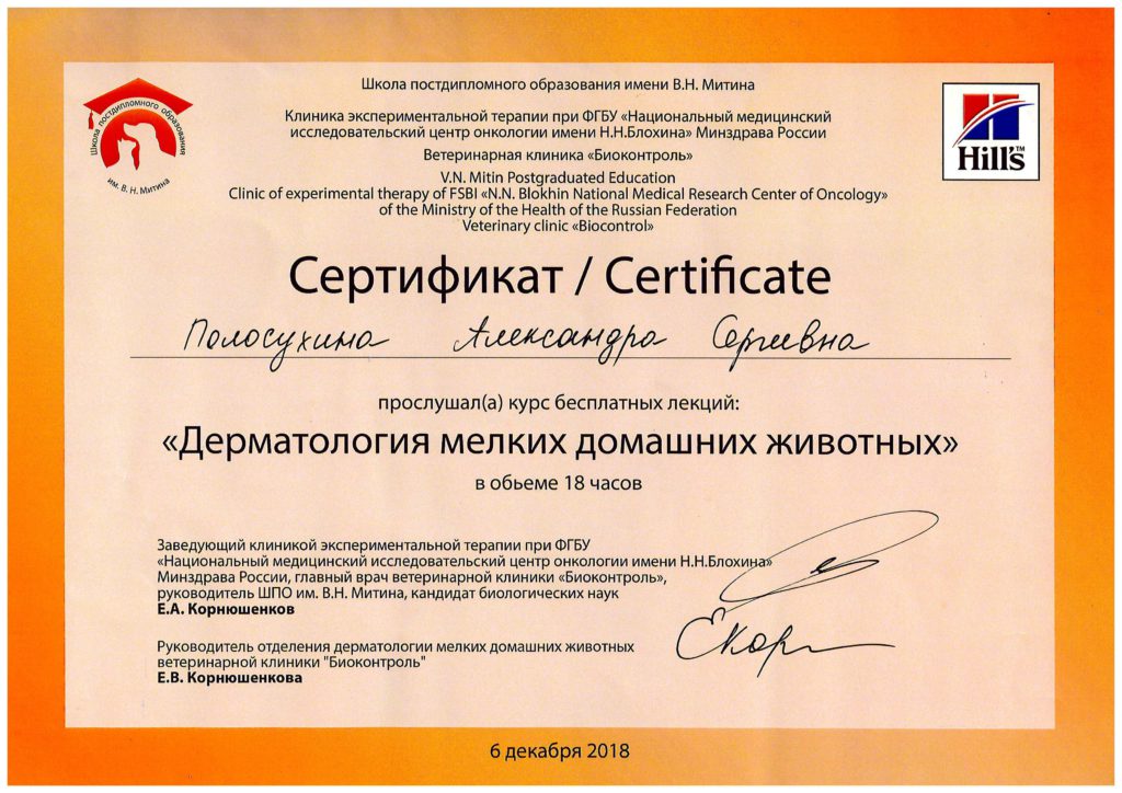 Сертификат Полосухиной Александры Сергеевны