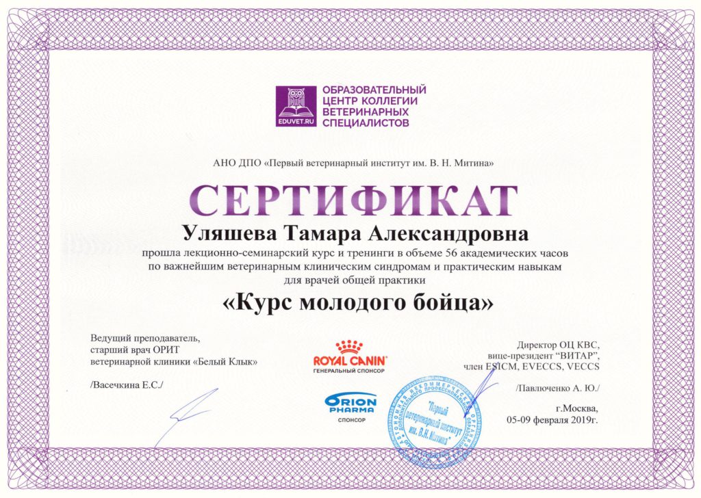 Сертификат Уляшевой Тамары Александровны