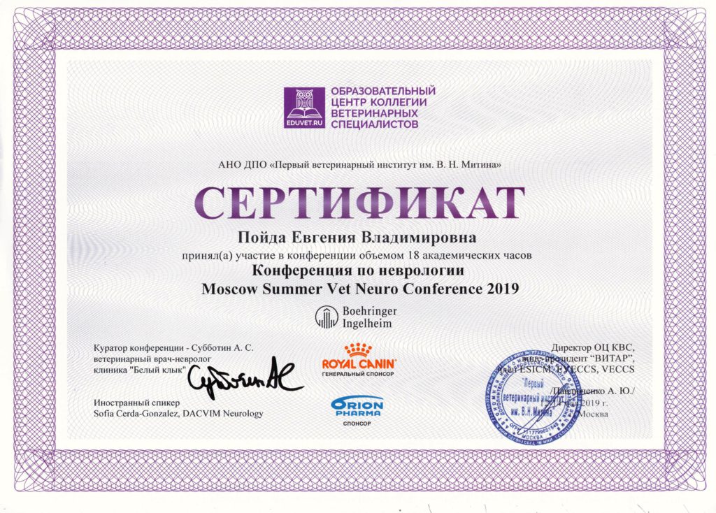Сертификат Пойда Евгении Владимировны