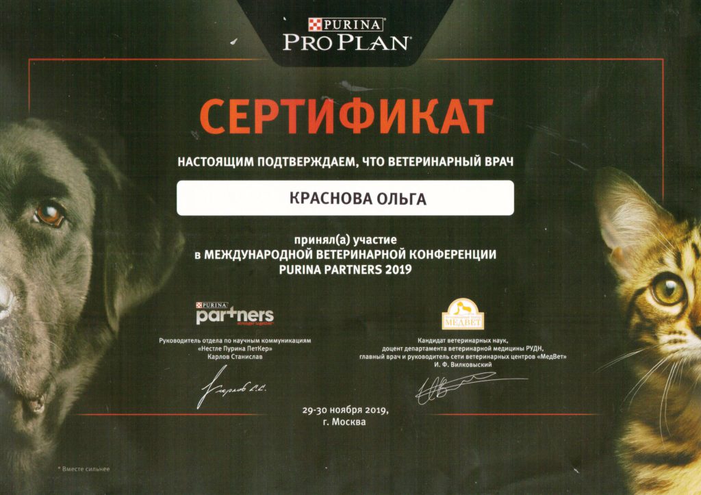 Сертификат Красновой Ольги Викторовны