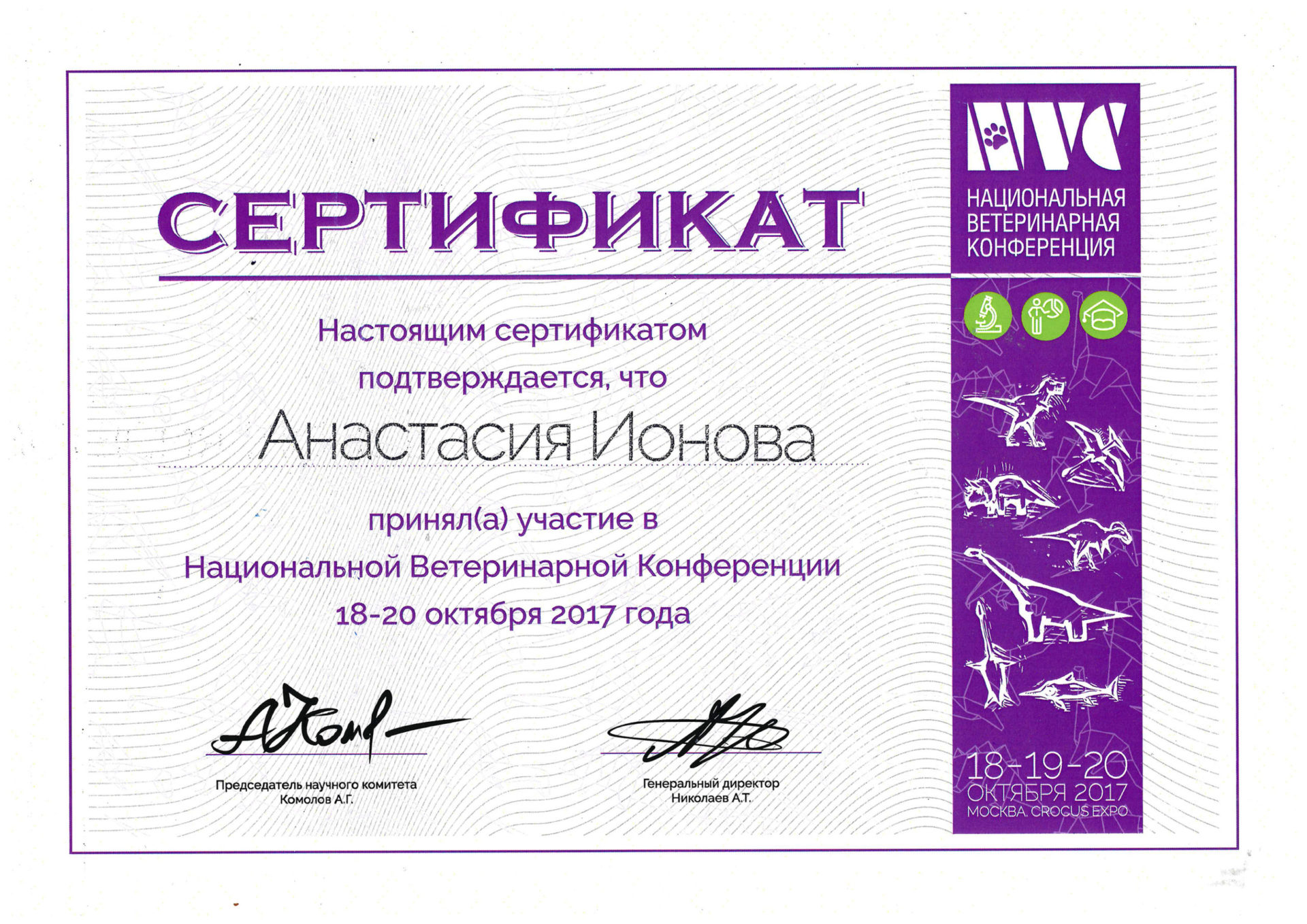 Сертификат Ионовой Анастасии Андреевны