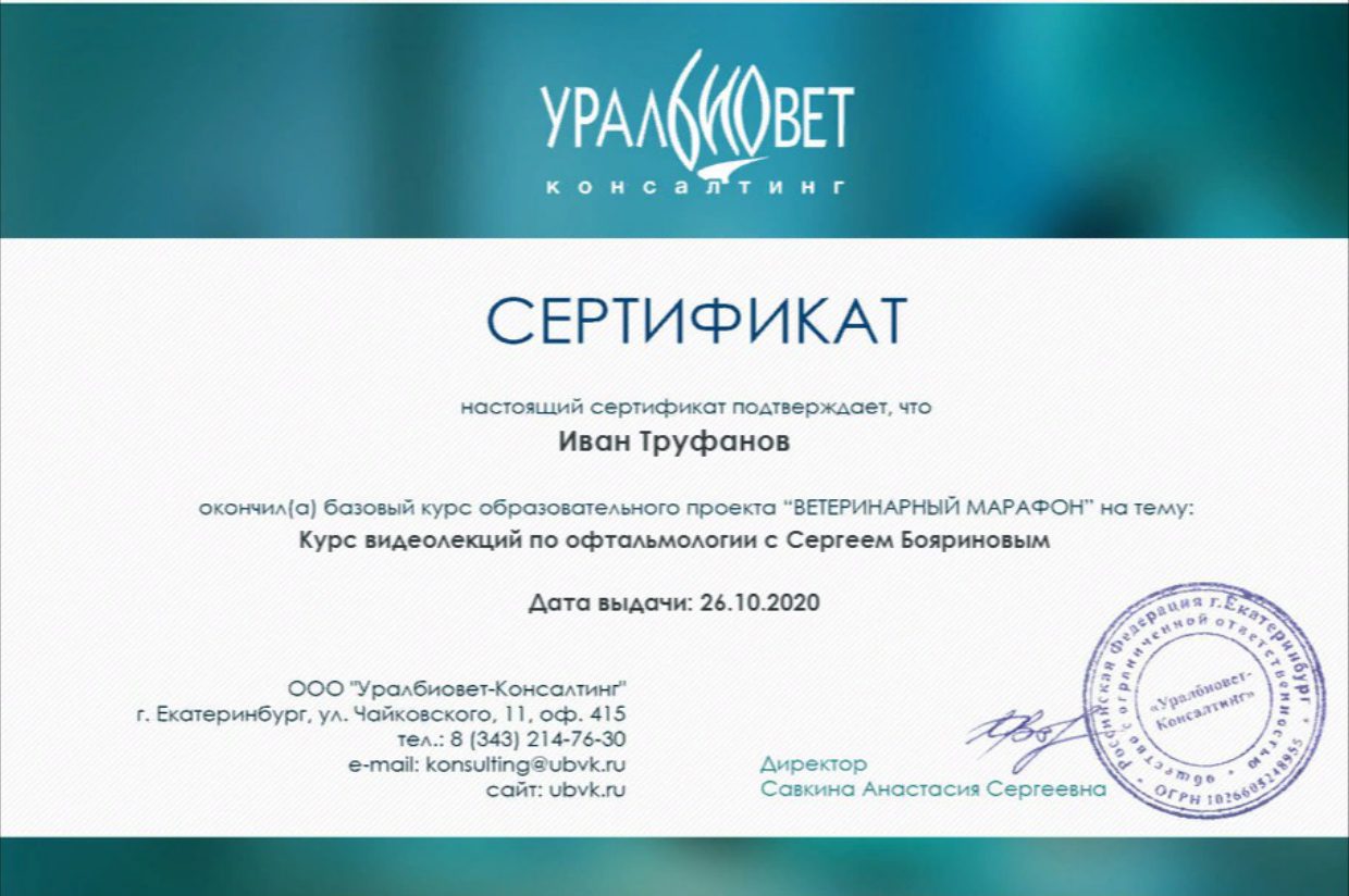 Сертификат Ивана Труфанова