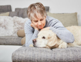 Инсульт у собак: симптомы и лечение