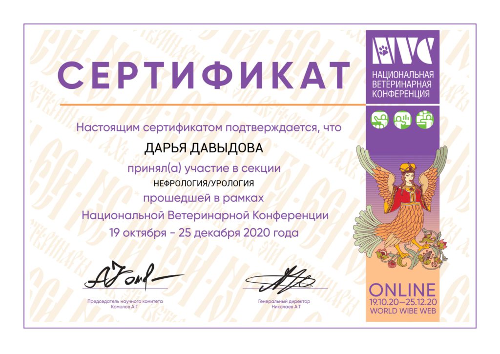Сертификат Дарьи Давыдовой