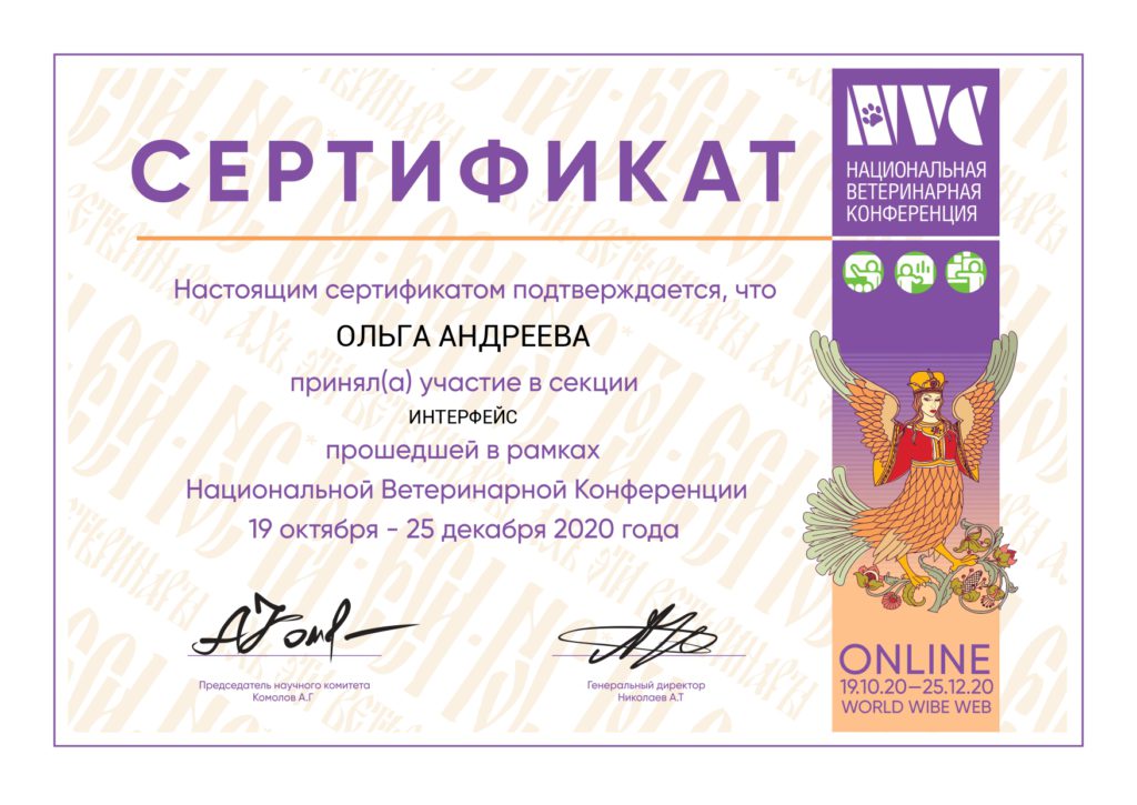 Сертификат Андреевой Ольги
