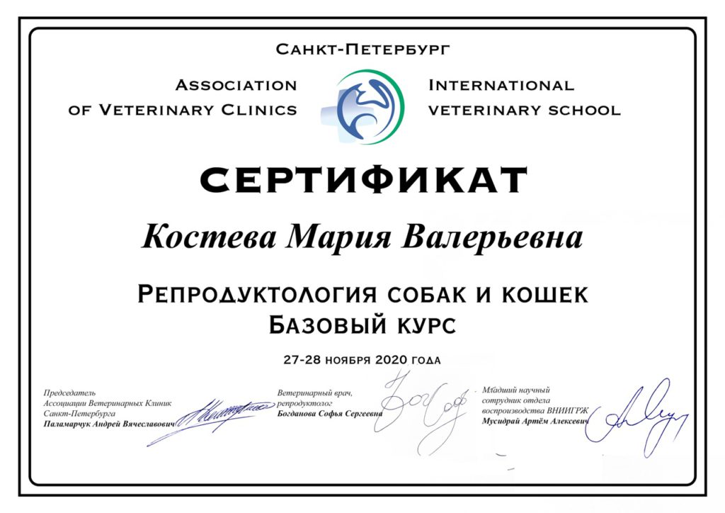 Сертификат Костевой Марии Валерьевны