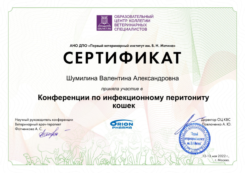 Сертификат Шумилиной Валентины Александровны