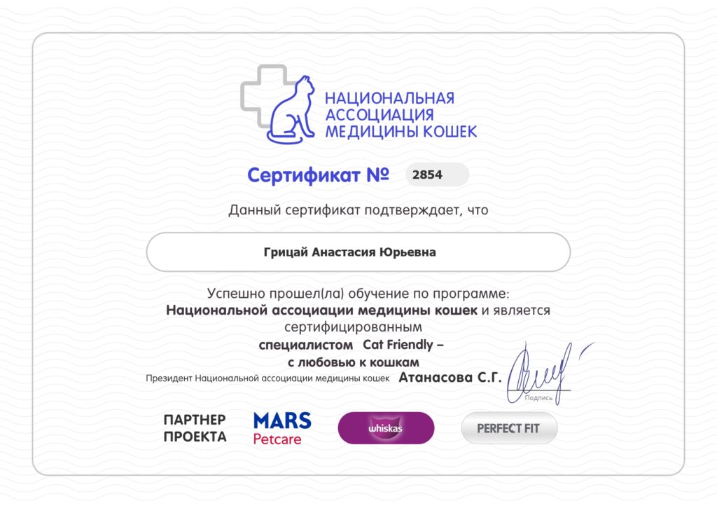 Сертификат Грицай Анастасии Юрьевны