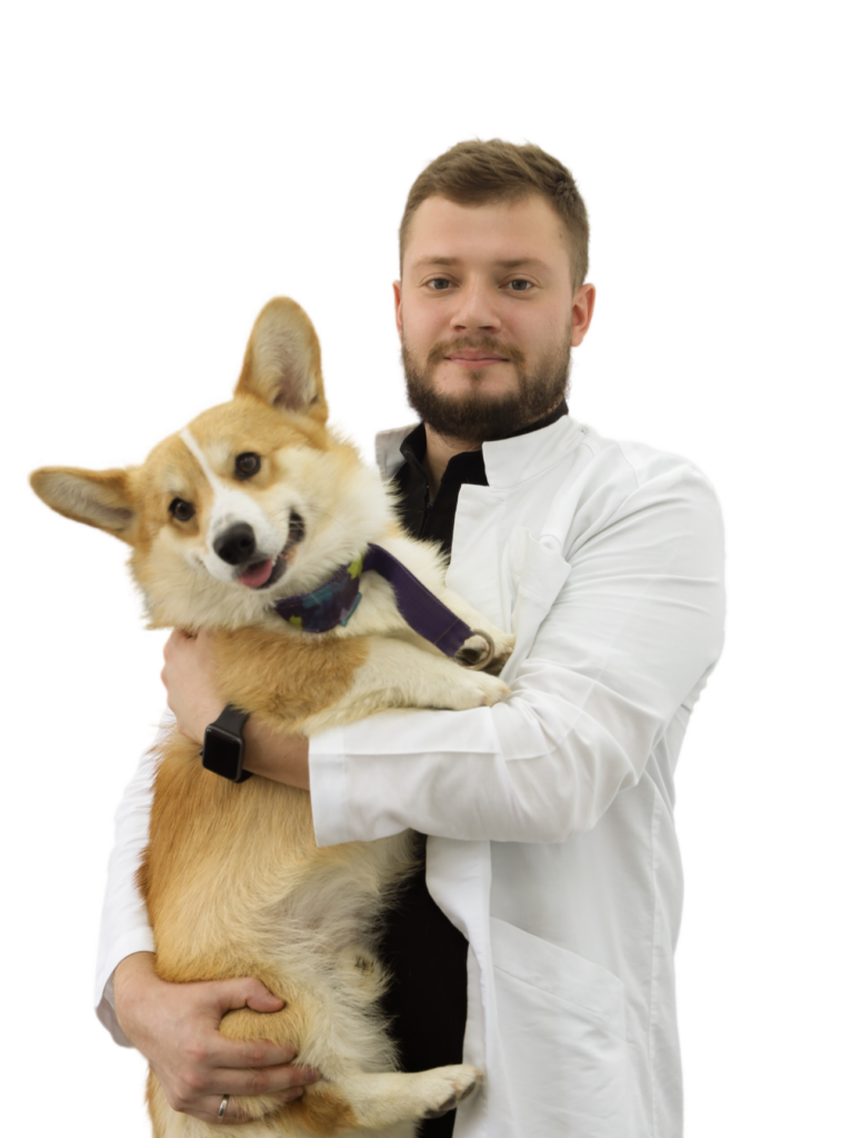 ветеринар Ветера с собакой